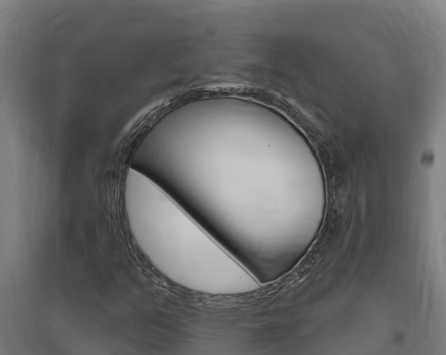 X0000097591351200802290740