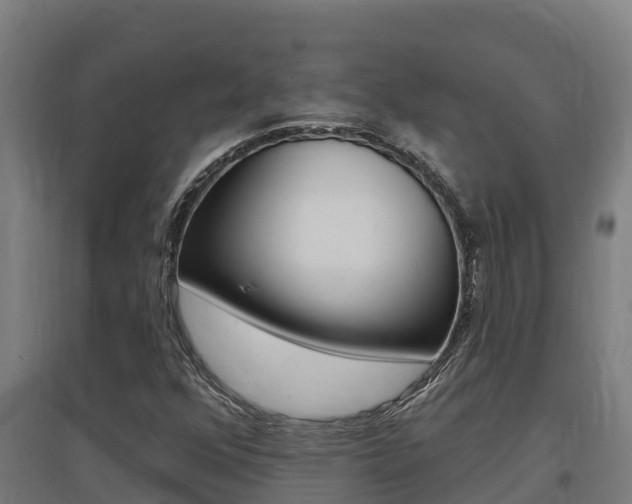 X0000097591352200802290740