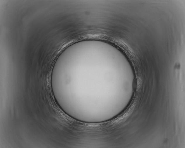 X0000097591353200802290740