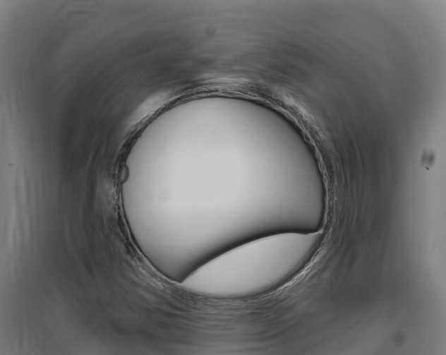 X0000097591354200802290740
