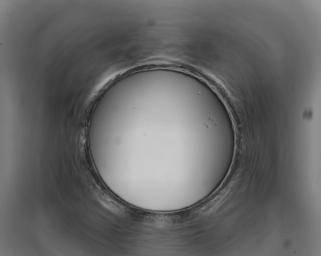 X0000097591355200802290740