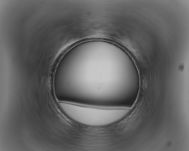 X0000097591356200802290740