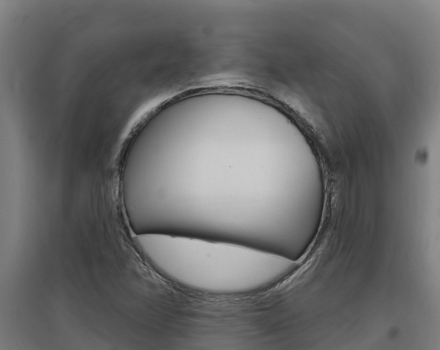 X0000097591358200802290740