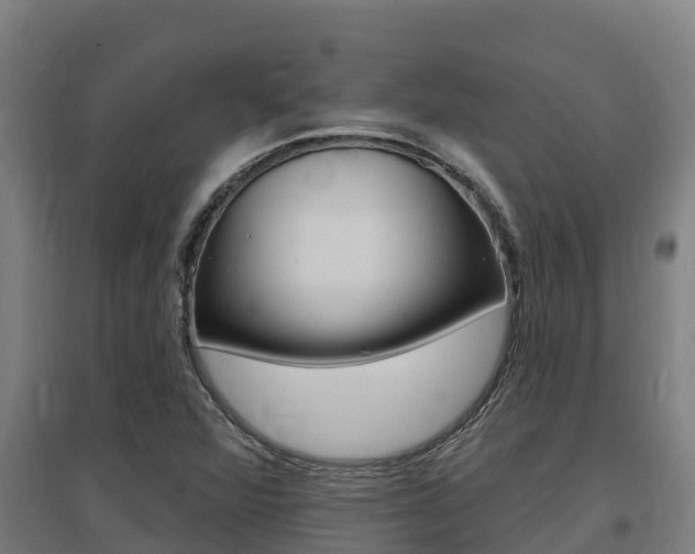 X0000097591360200802290740