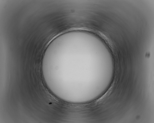 X0000097591361200802290740