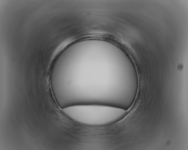 X0000097591362200802290740