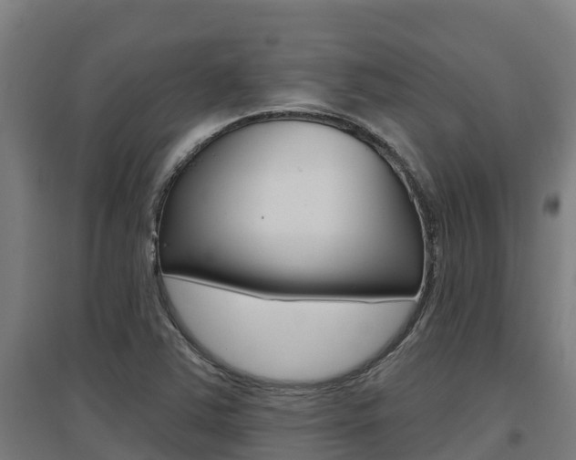 X0000097591363200802290740