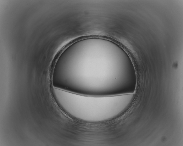 X0000097591364200802290740