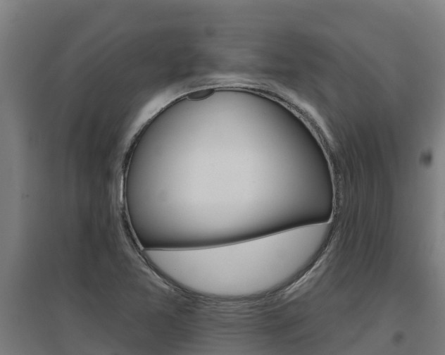 X0000097591365200802290740