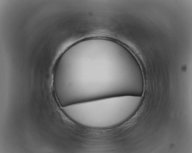 X0000097591366200802290740