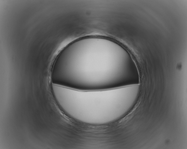 X0000097591367200802290740