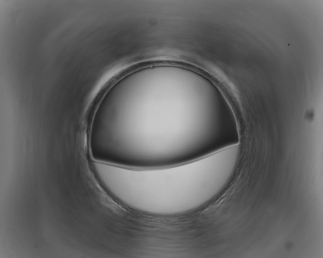 X0000097591368200802290740