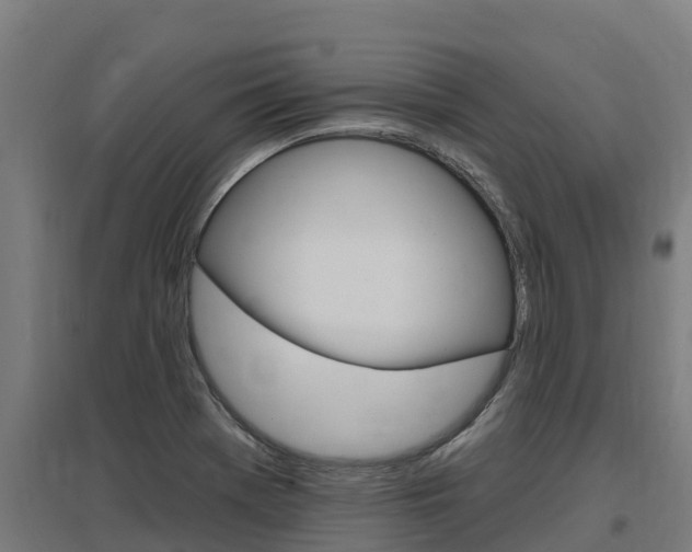 X0000097591369200802290740