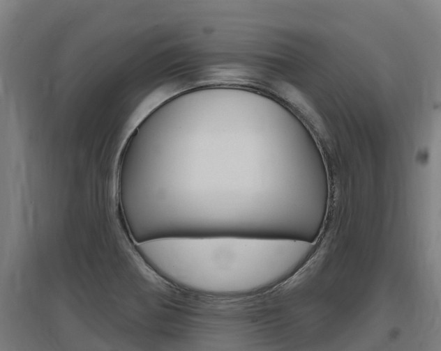 X0000097591370200802290740