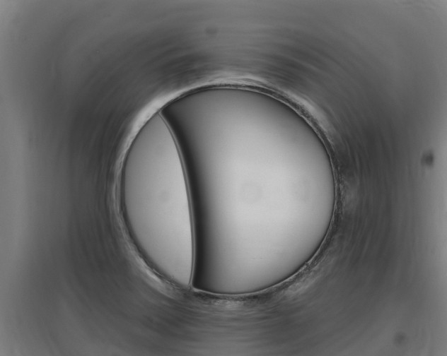 X0000097591371200802290740