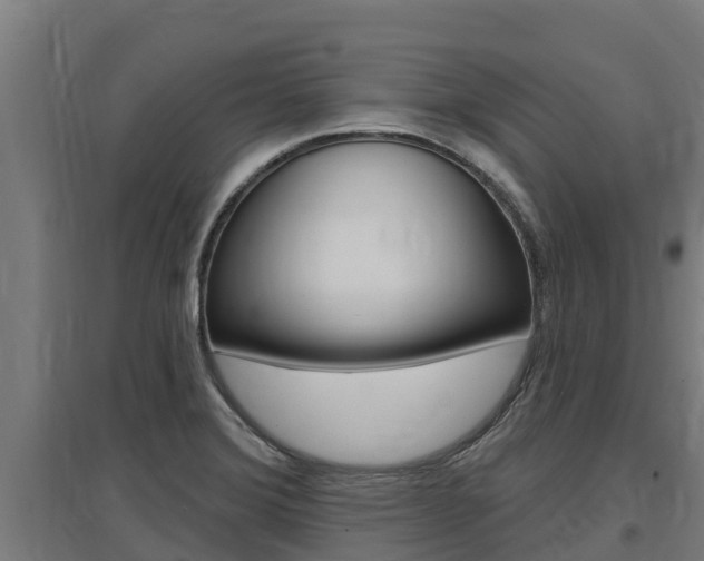 X0000097591372200802290740