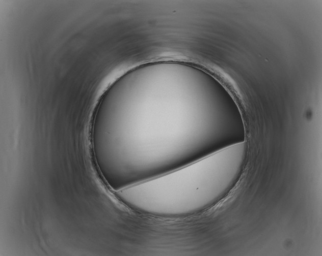 X0000097591373200802290740