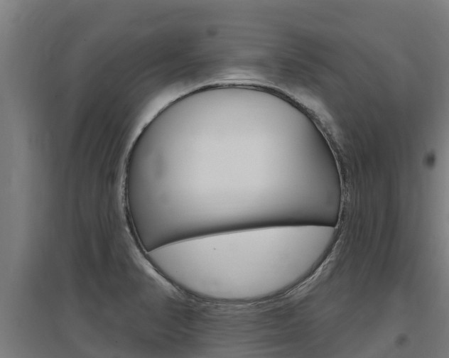 X0000097591374200802290740