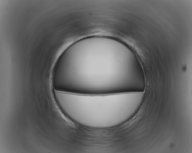 X0000097591375200802290740