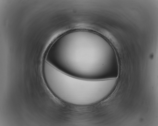 X0000097591376200802290740