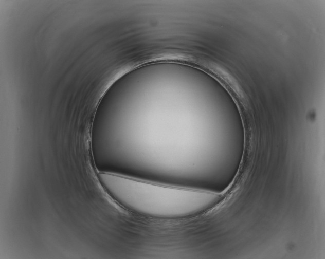 X0000097591377200802290740