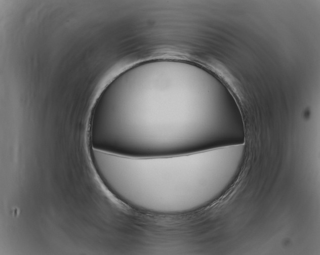 X0000097591379200802290740