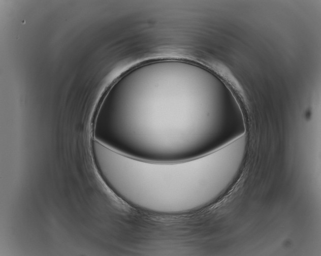 X0000097591380200802290740
