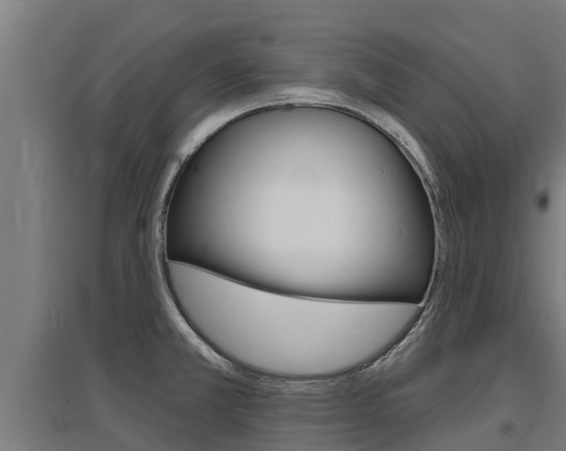 X0000097591381200802290740