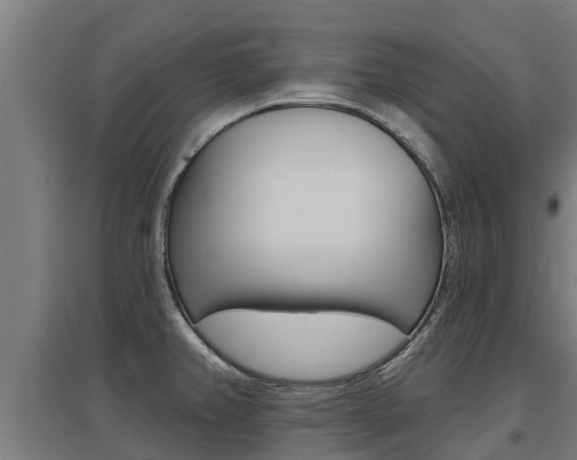 X0000097591382200802290740