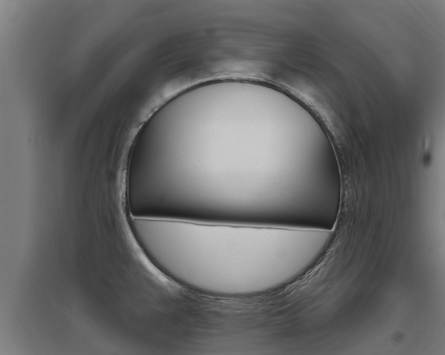 X0000097591383200802290740