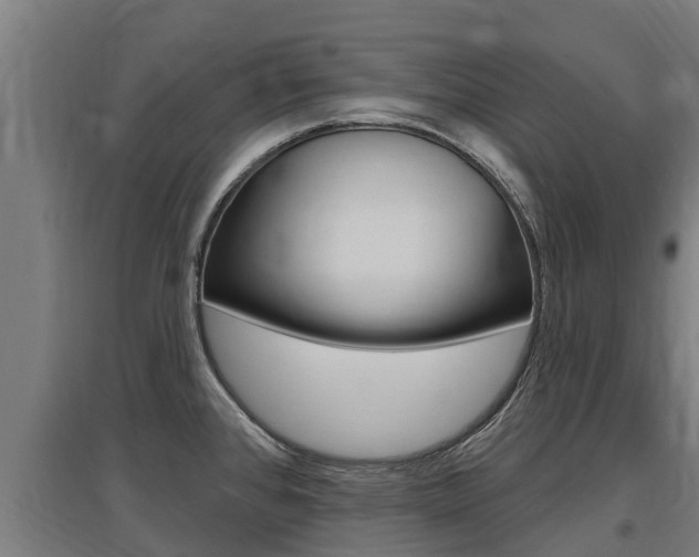 X0000097591384200802290740