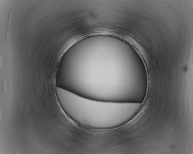 X0000097591385200802290740