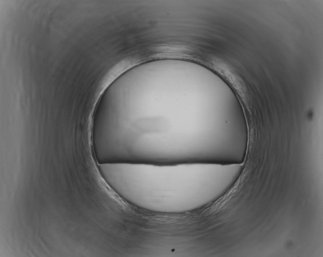 X0000097591386200802290739