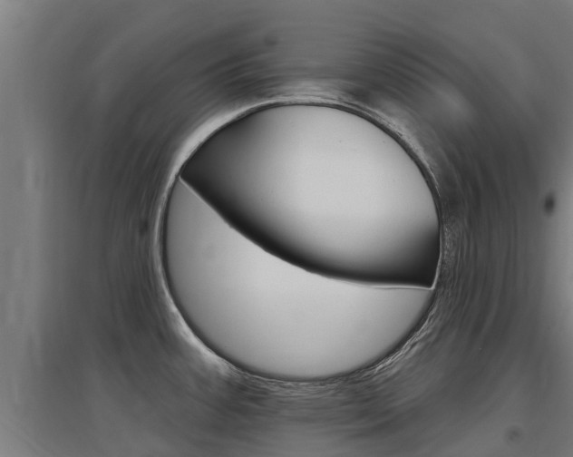 X0000097591387200802290739