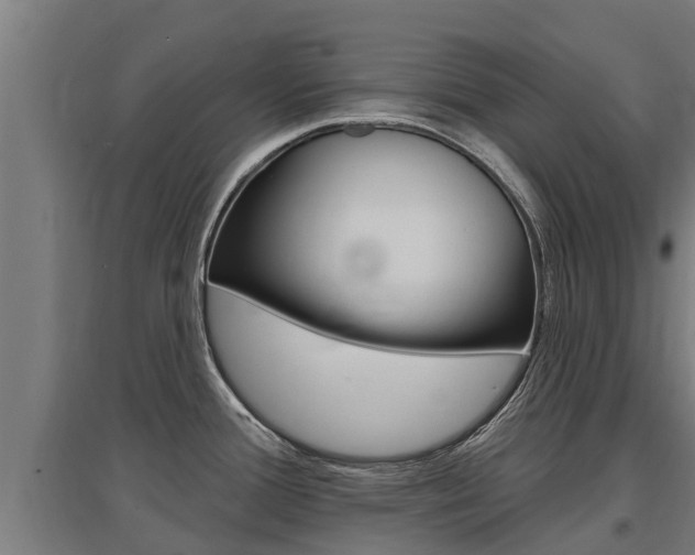 X0000097591388200802290739