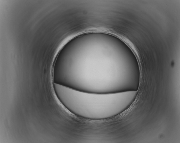 X0000097591389200802290739