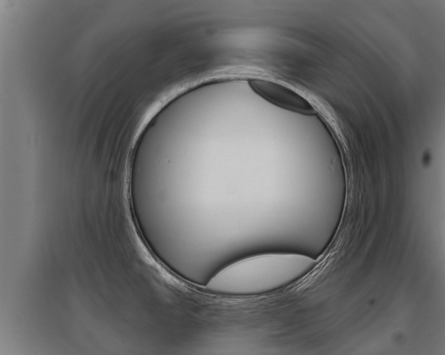 X0000097591390200802290739