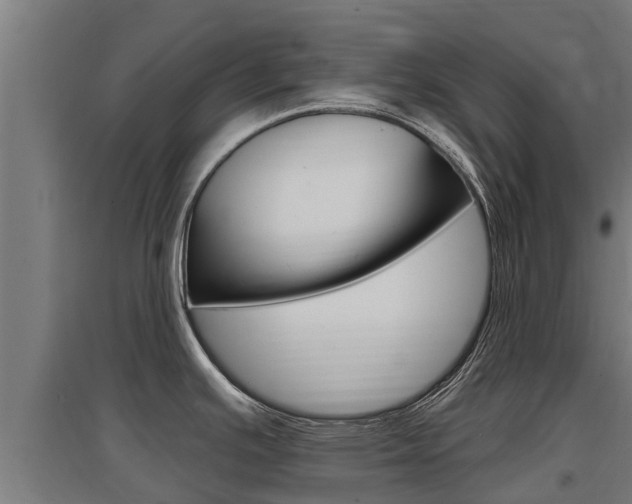 X0000097591391200802290739