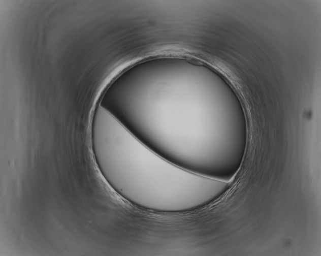 X0000097591392200802290739