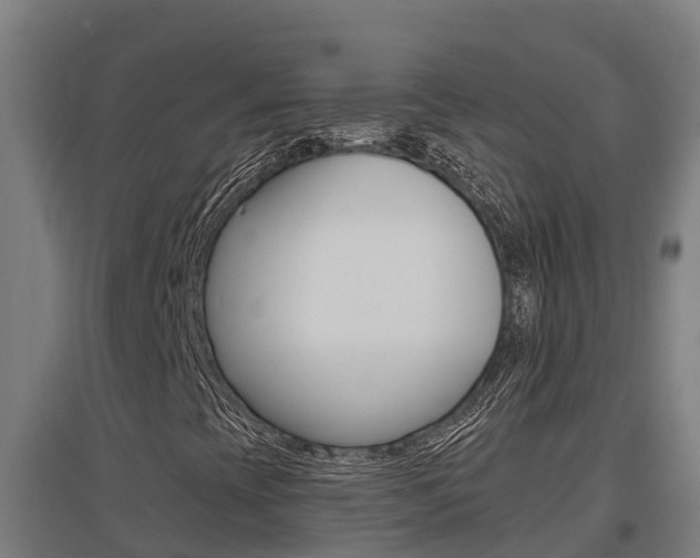 X0000097591393200802290739
