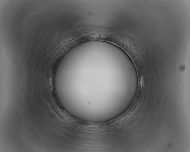 X0000097591396200802290739