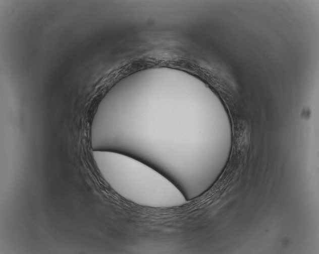 X0000097591397200802290739
