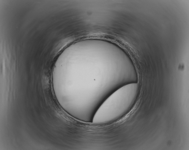 X0000097591401200802290739