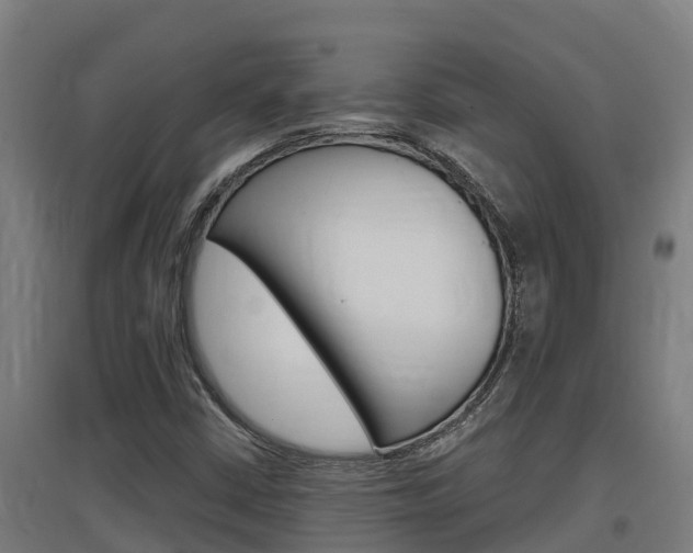 X0000097591402200802290739