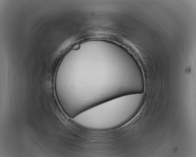 X0000097591403200802290739