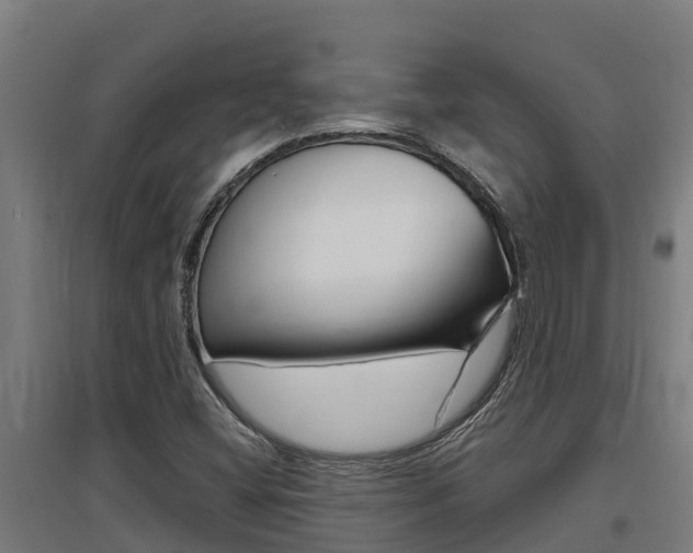 X0000097591404200802290739