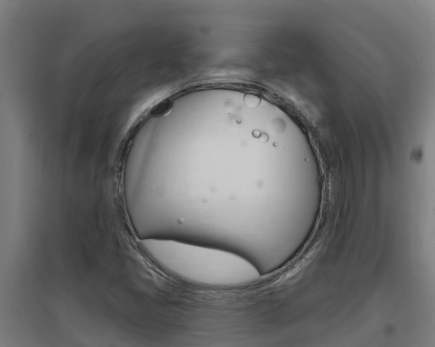 X0000097591405200802290739