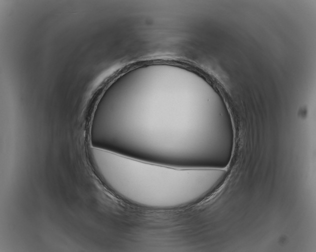 X0000097591406200802290739