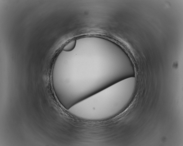 X0000097591407200802290739