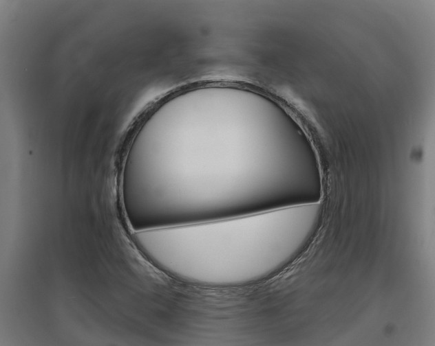 X0000097591408200802290739